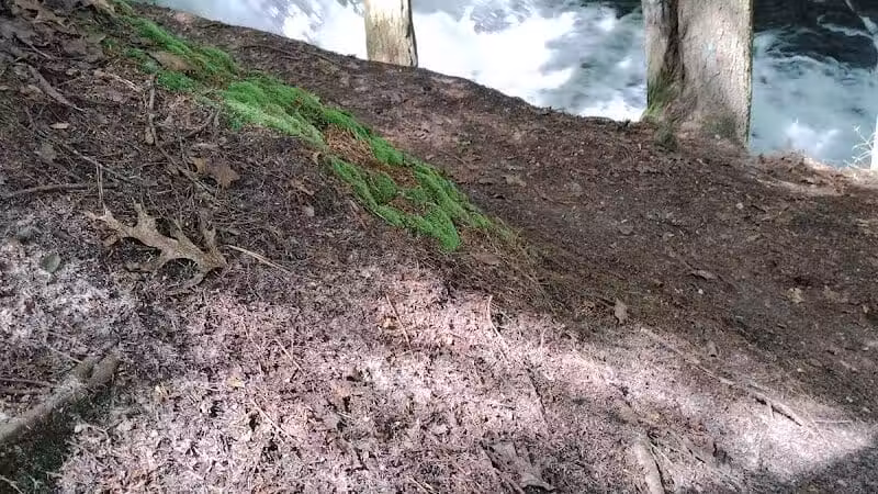 Waterfalls - Jackson, OH