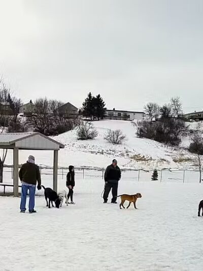 Peppers Dog Park - Jamestown, ND