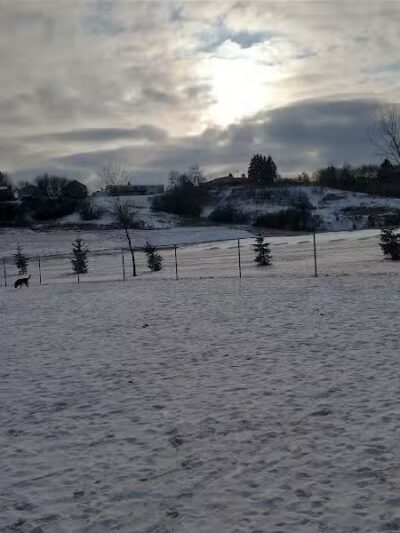 Peppers Dog Park - Jamestown, ND