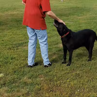 Peppers Dog Park - Jamestown, ND