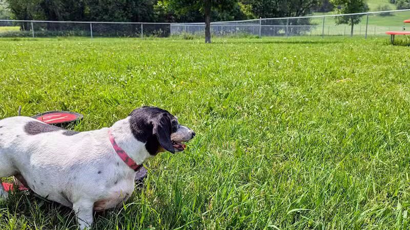 Peppers Dog Park - Jamestown, ND