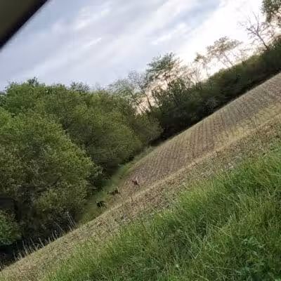 Seaman Park - Jamestown, OH