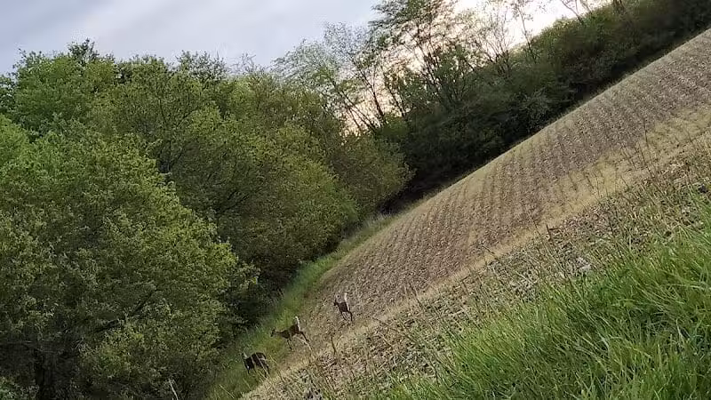 Seaman Park - Jamestown, OH