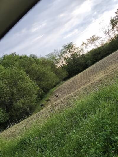 Seaman Park - Jamestown, OH