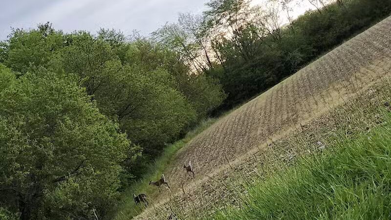 Seaman Park - Jamestown, OH