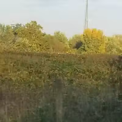 Seaman Park - Jamestown, OH