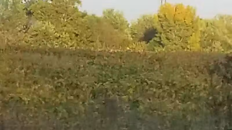 Seaman Park - Jamestown, OH