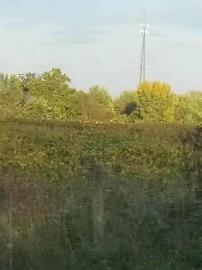 Seaman Park - Jamestown, OH