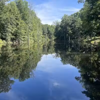 City of Jasper Off Leash dog park - Jasper, AL