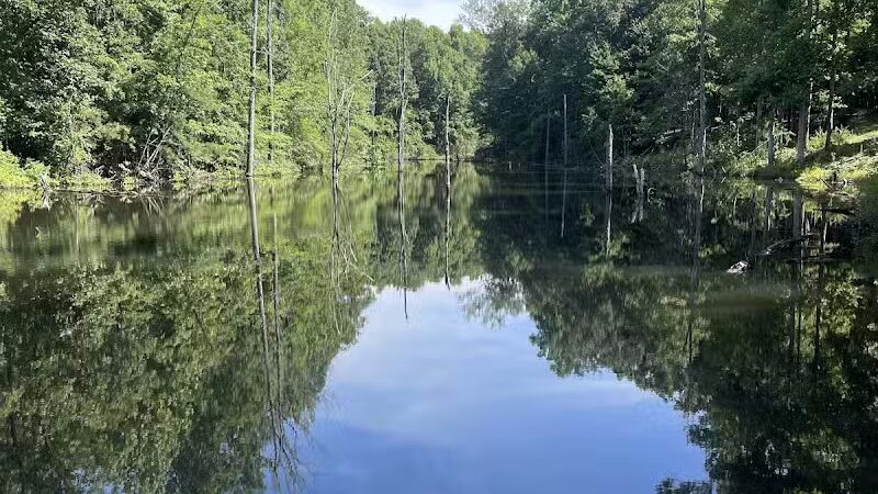 City of Jasper Off Leash dog park - Jasper, AL
