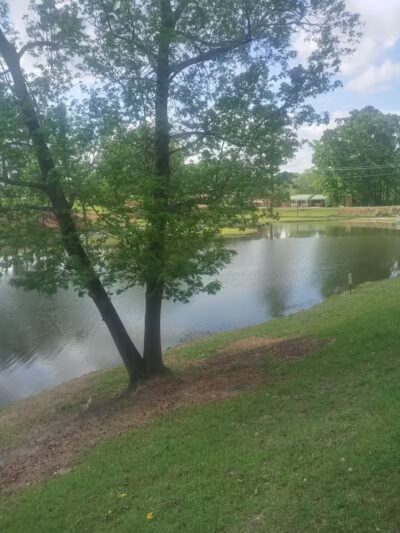 City of Jasper Off Leash dog park - Jasper, AL