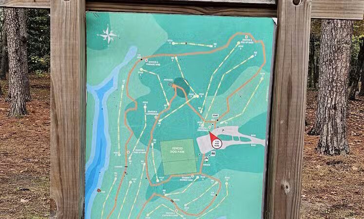 City of Jasper Off Leash dog park - Jasper, AL