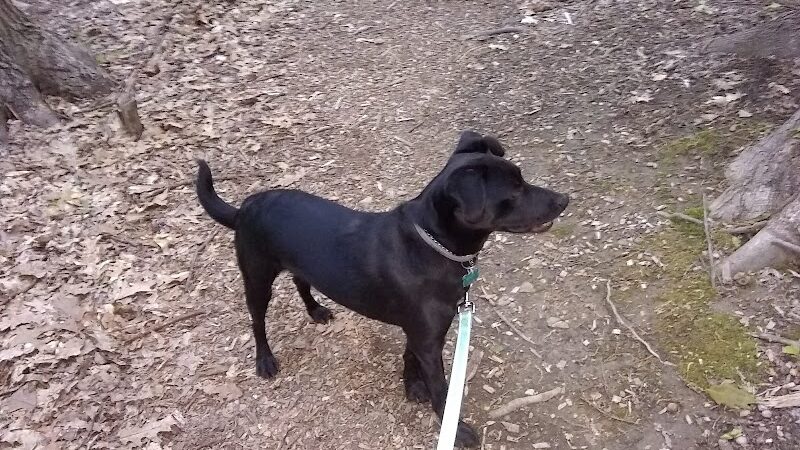 Jefferson Dog Park - Jefferson, OH