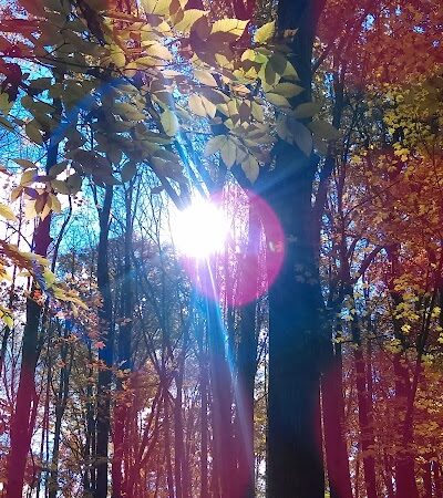 Jefferson Dog Park - Jefferson, OH