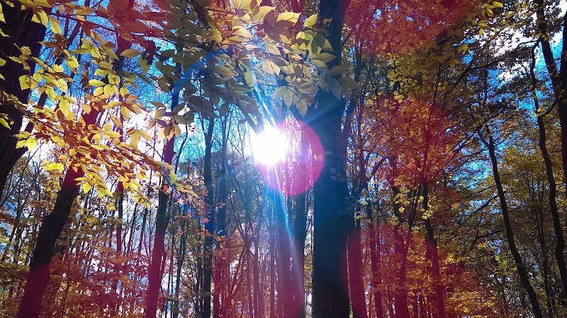 Jefferson Dog Park - Jefferson, OH