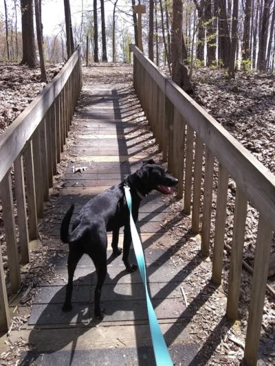 Jefferson Dog Park - Jefferson, OH