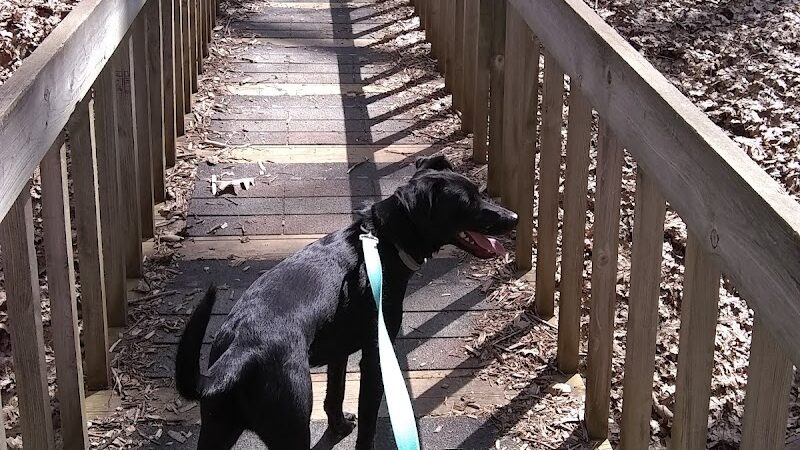 Jefferson Dog Park - Jefferson, OH