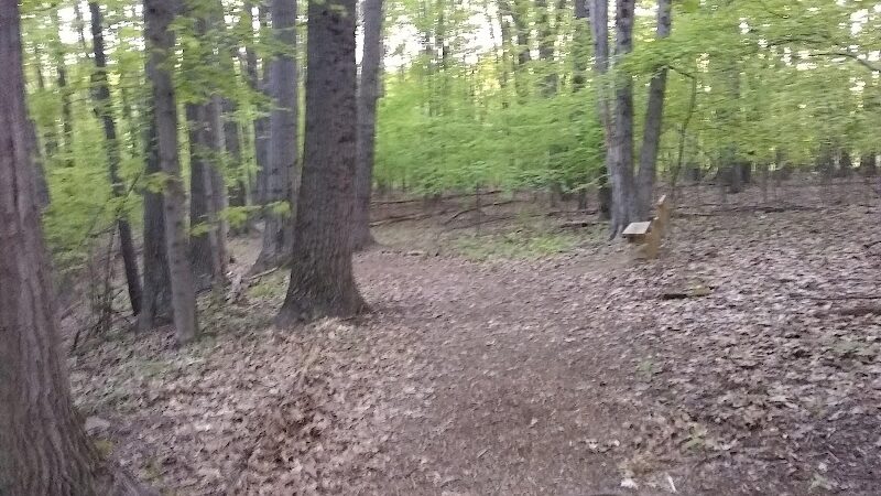 Jefferson Dog Park - Jefferson, OH