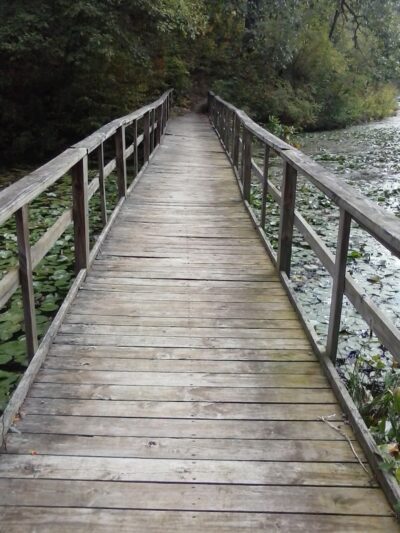 Monroe Lake Wildlife Area - Jerusalem, OH