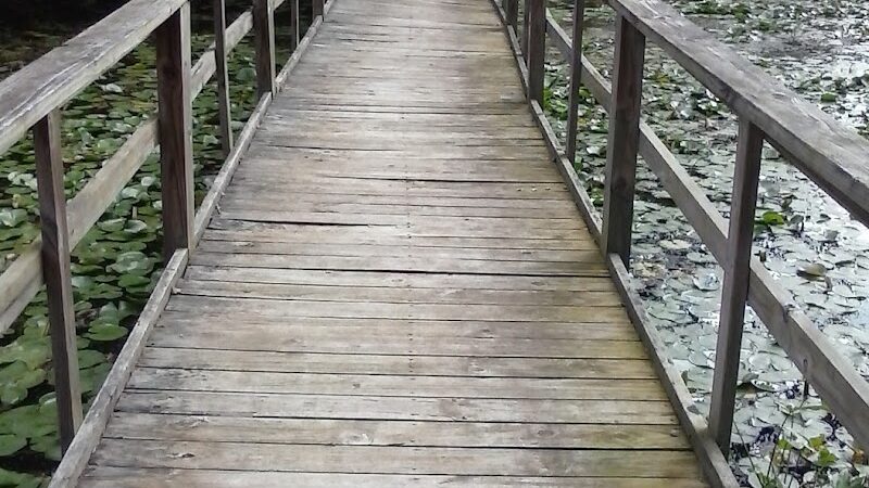 Monroe Lake Wildlife Area - Jerusalem, OH