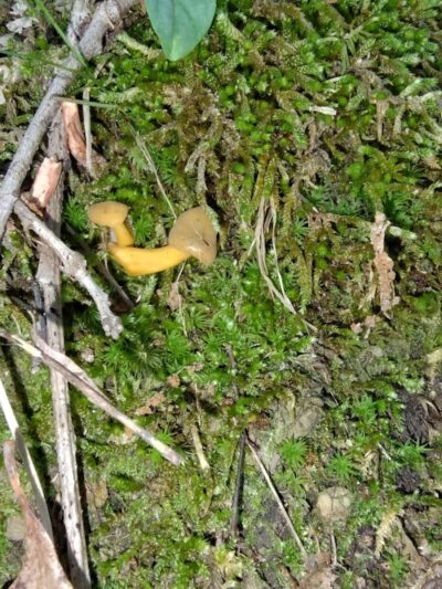 Monroe Lake Wildlife Area - Jerusalem, OH