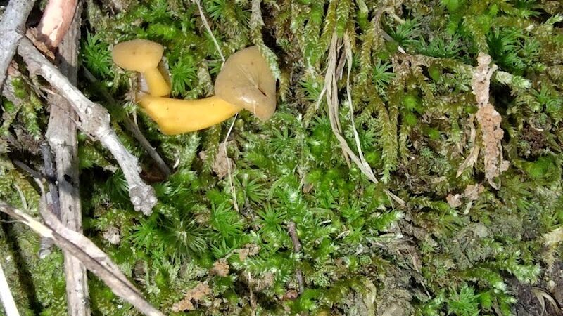 Monroe Lake Wildlife Area - Jerusalem, OH