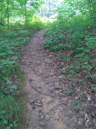 Monroe Lake Wildlife Area - Jerusalem, OH