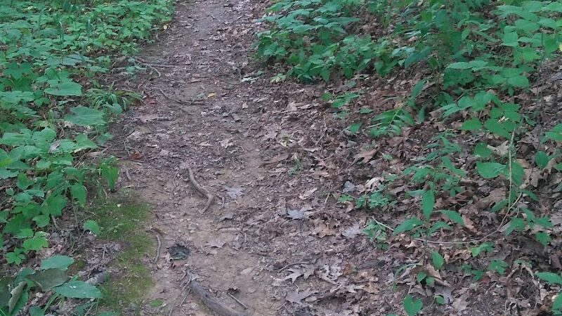 Monroe Lake Wildlife Area - Jerusalem, OH