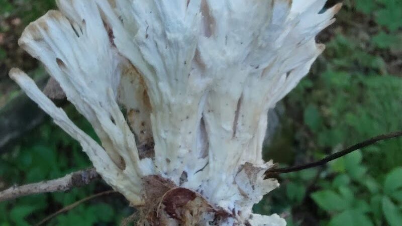 Monroe Lake Wildlife Area - Jerusalem, OH