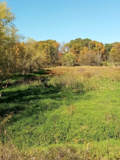 Conotton Creek Trail: Jewett Trailhead - Jewett, OH