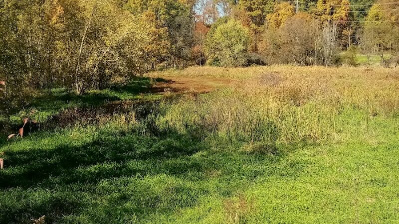 Conotton Creek Trail: Jewett Trailhead - Jewett, OH