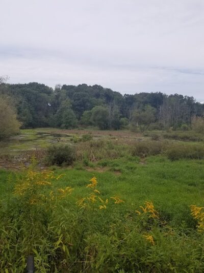 Conotton Creek Trail: Jewett Trailhead - Jewett, OH
