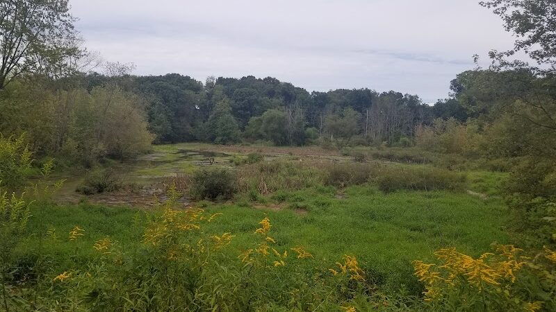 Conotton Creek Trail: Jewett Trailhead - Jewett, OH