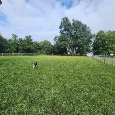 Johnstown (OH) Dog Park - Johnstown, OH
