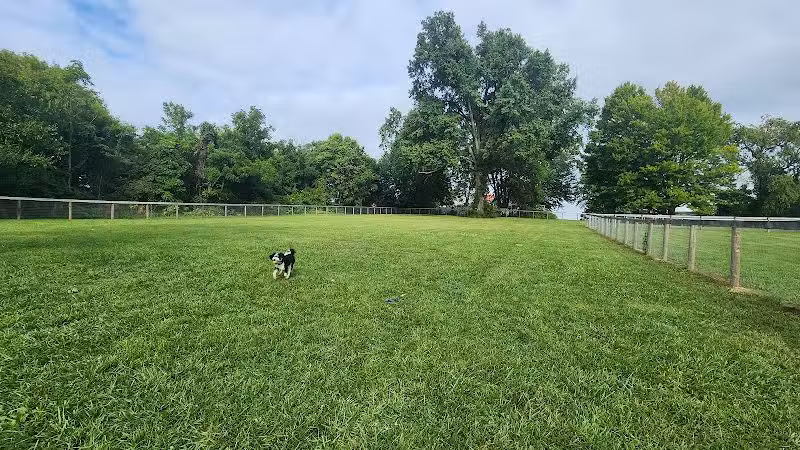 Johnstown (OH) Dog Park - Johnstown, OH