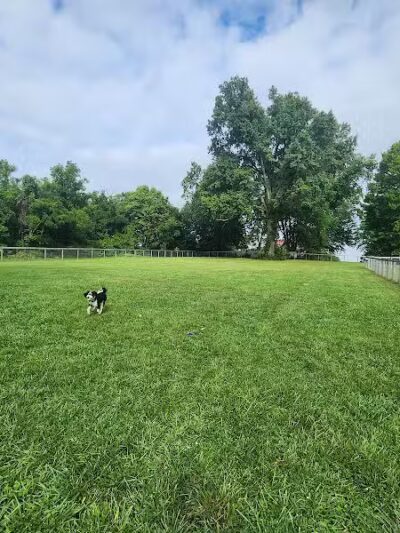 Johnstown (OH) Dog Park - Johnstown, OH