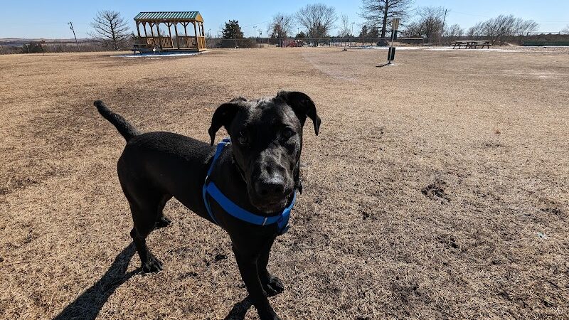 Dog park - Junction City, KS