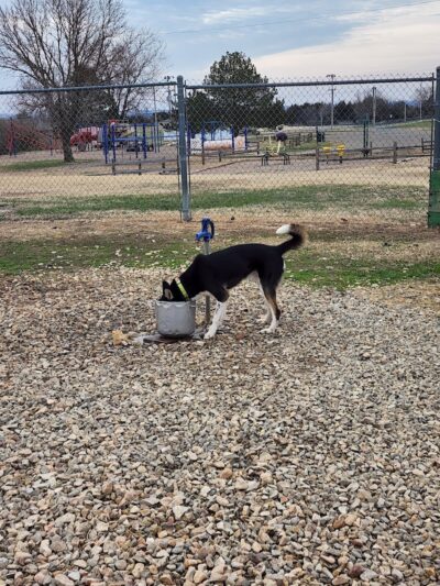 Dog park - Junction City, KS