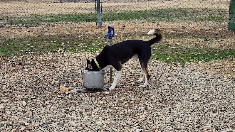 Dog park - Junction City, KS