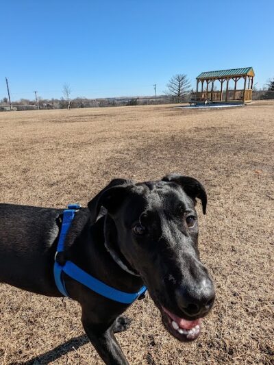 Dog park - Junction City, KS