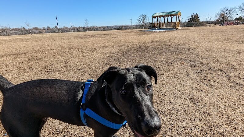 Dog park - Junction City, KS