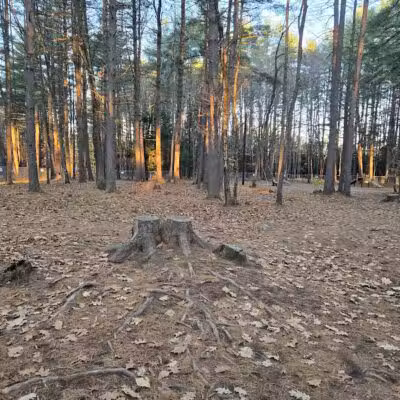Keene Dog Park - Keene, NH