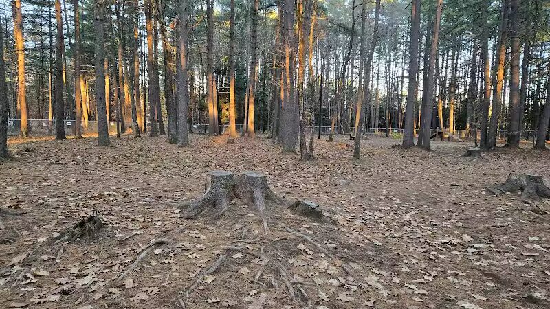 Keene Dog Park - Keene, NH