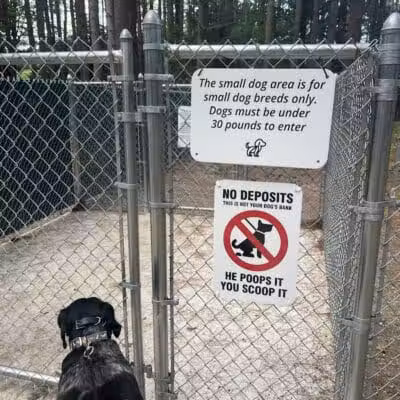 Keene Dog Park - Keene, NH