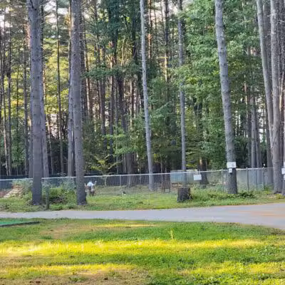 Keene Dog Park - Keene, NH