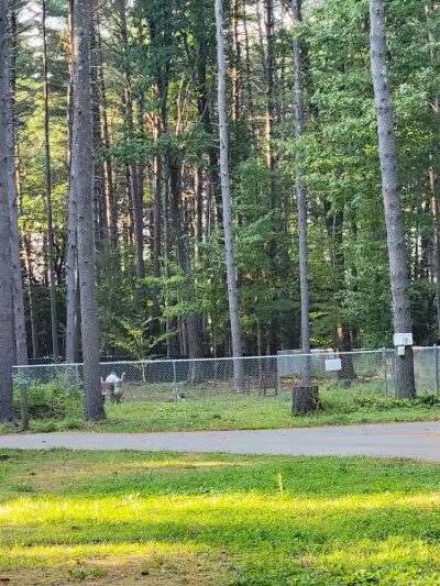 Keene Dog Park - Keene, NH