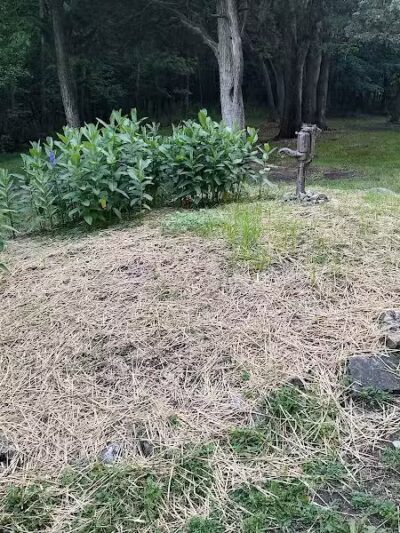 Kelleys Island State Park Picnic Area - Kelleys Island, OH