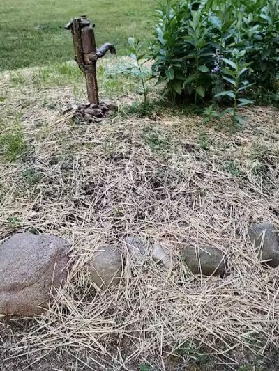 Kelleys Island State Park Picnic Area - Kelleys Island, OH