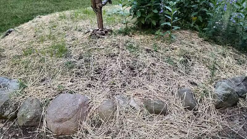 Kelleys Island State Park Picnic Area - Kelleys Island, OH