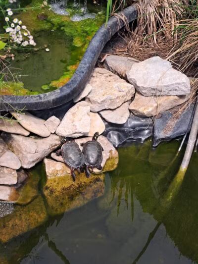 Kelleys Island State Park Picnic Area - Kelleys Island, OH
